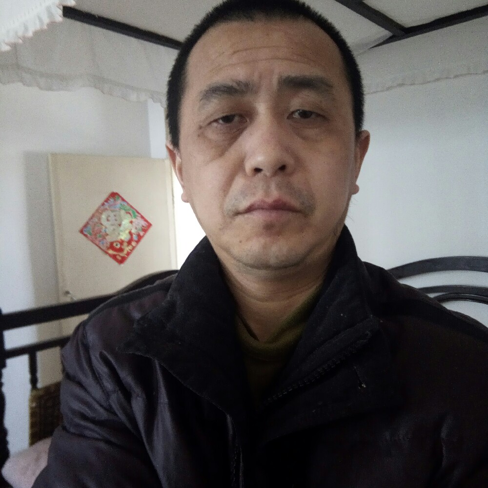 海燕单薄的照片