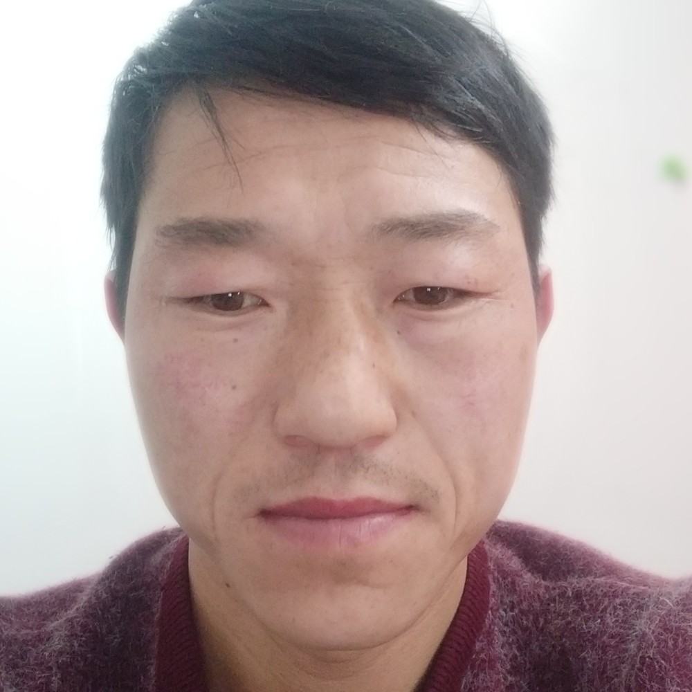 狼的照片