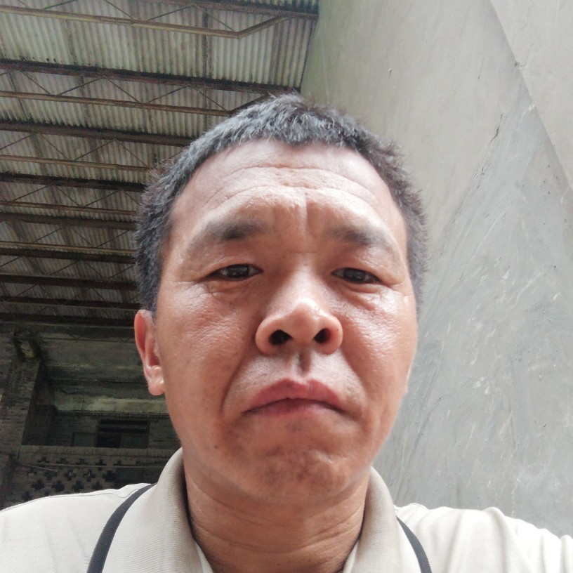 小蚂蚁等待欢呼的照片
