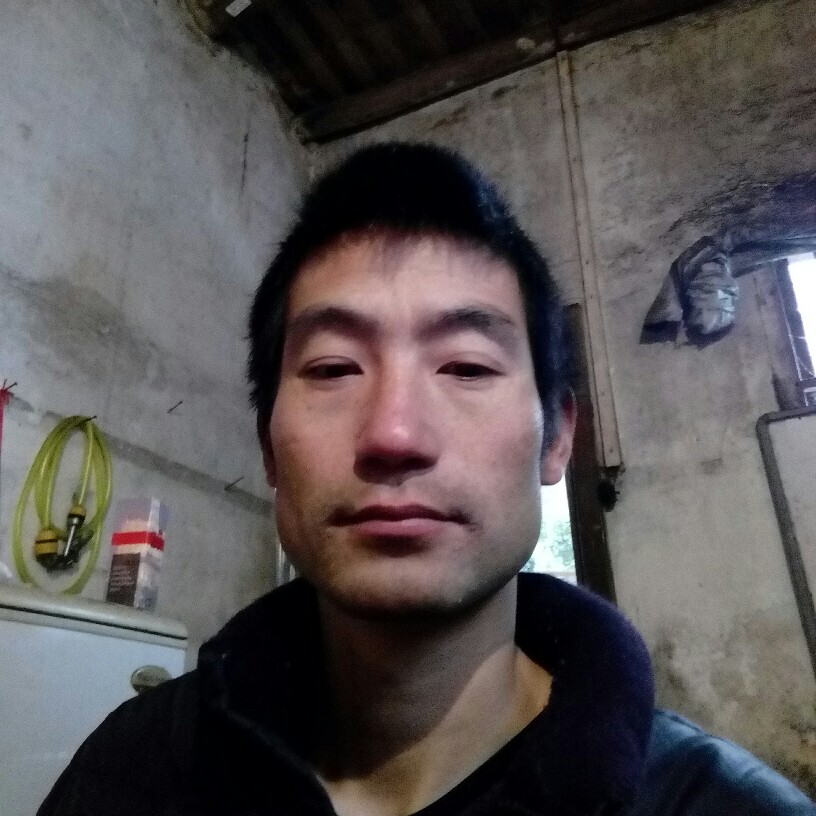 壁下的照片