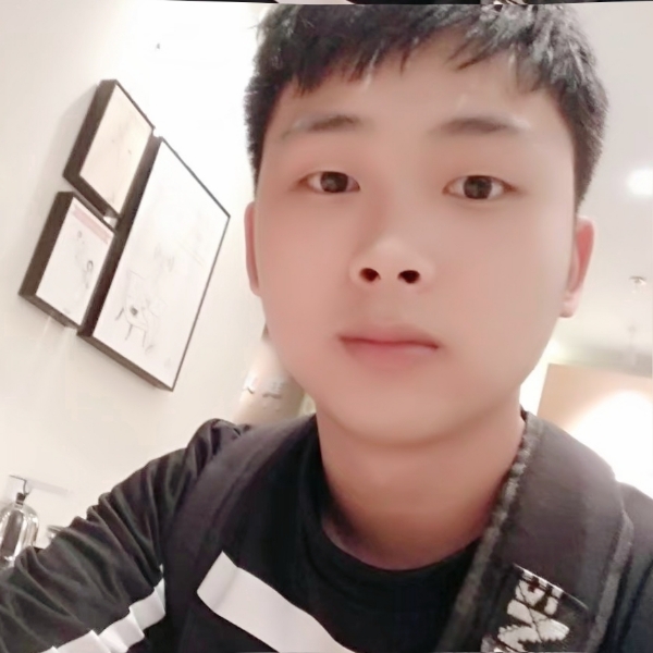 一只小笨驴的照片