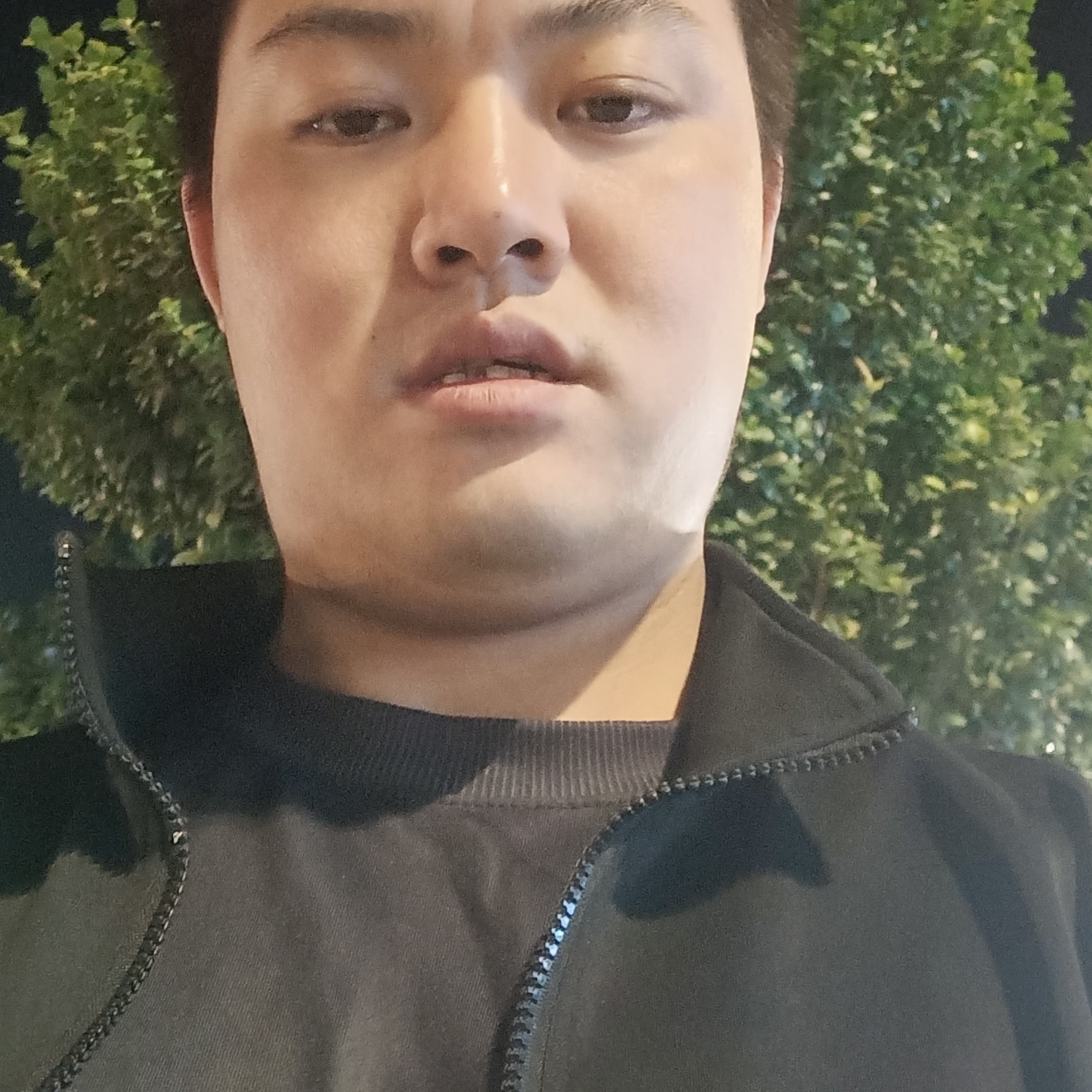 暴躁方石头的照片