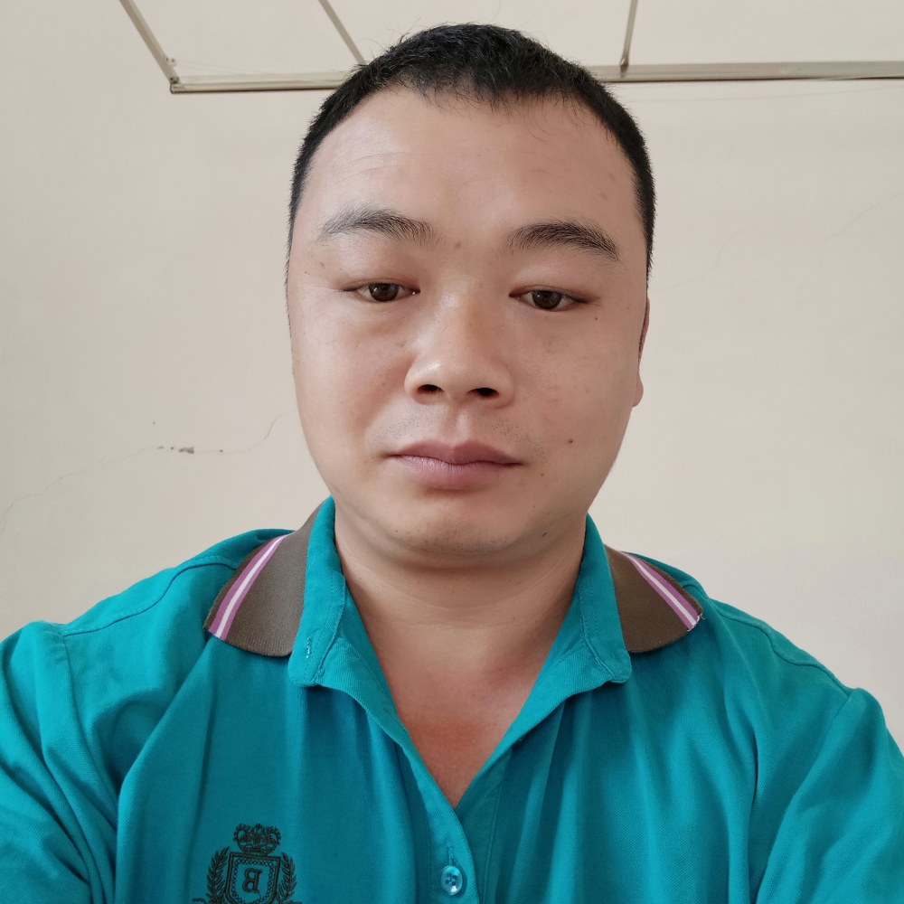 安静的小鸽子的照片