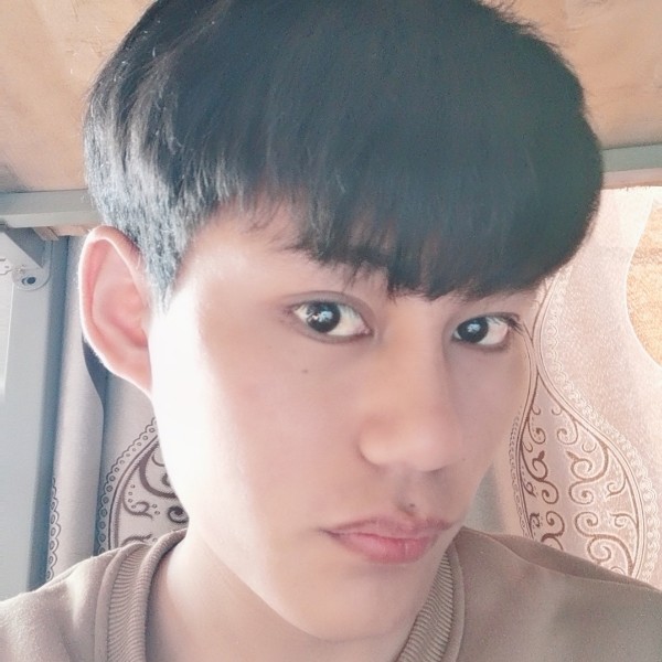 整齐凝眸小蚂蚁的照片