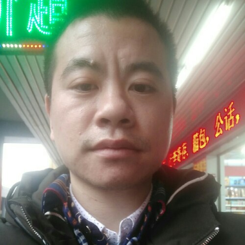 飞龙在维的照片