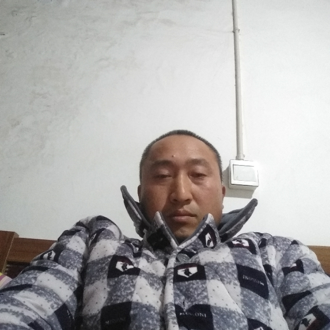 贤惠浅吻森槿的照片