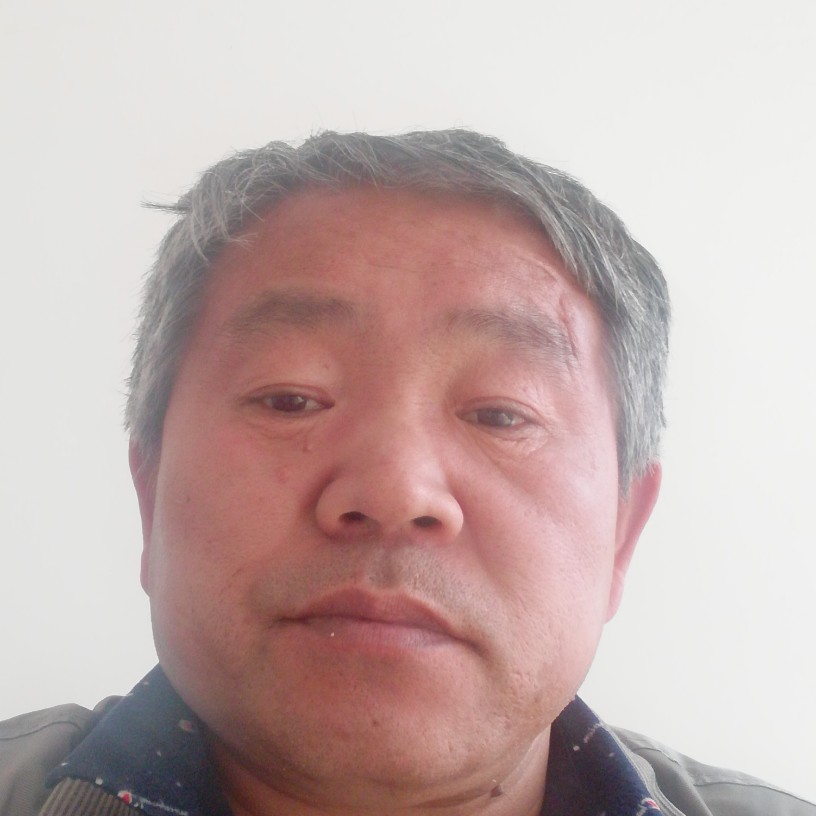 欣喜笑蜜蜂的照片