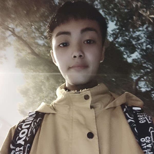 堂吉诃德·罗西南的照片