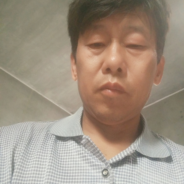 迷路拾忆纸鹤的照片