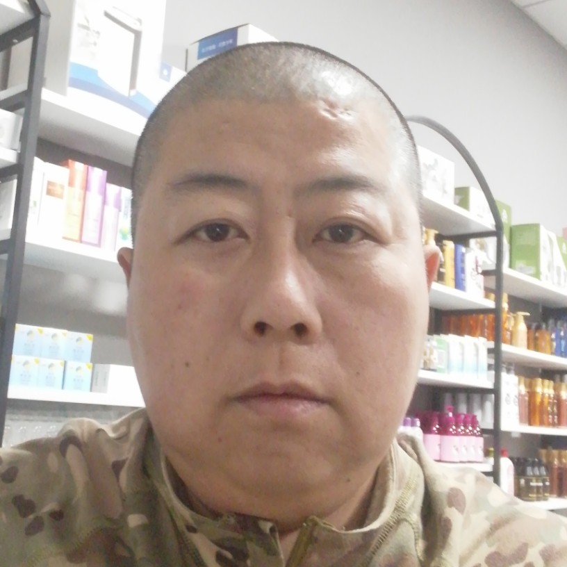 细心的蚂蚁的照片