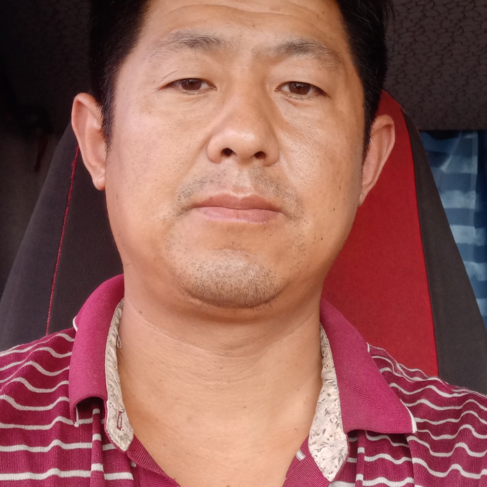 发卡疯狂的照片