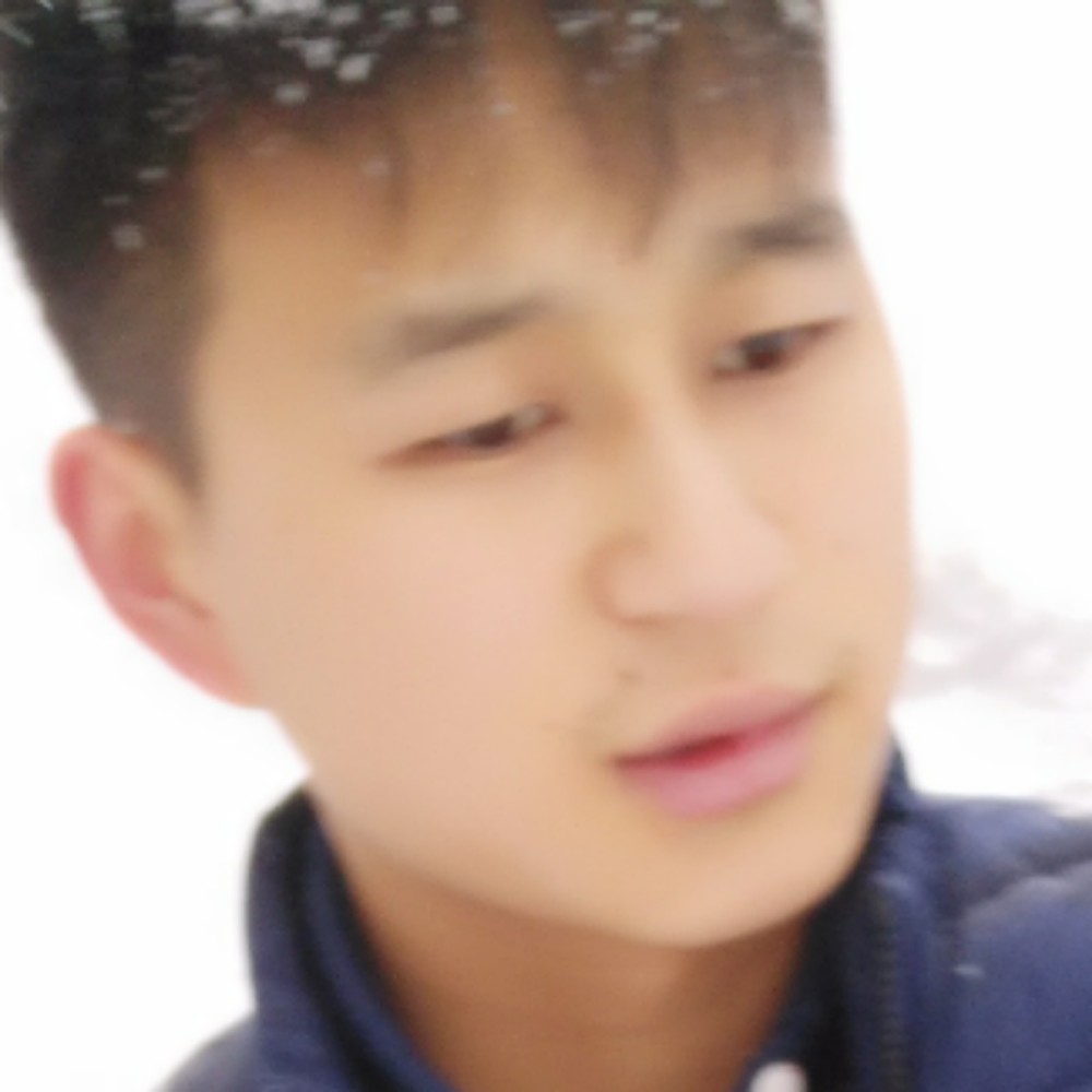 舒适小松鼠的照片