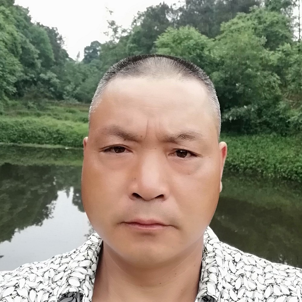 小懒猪向知性的照片