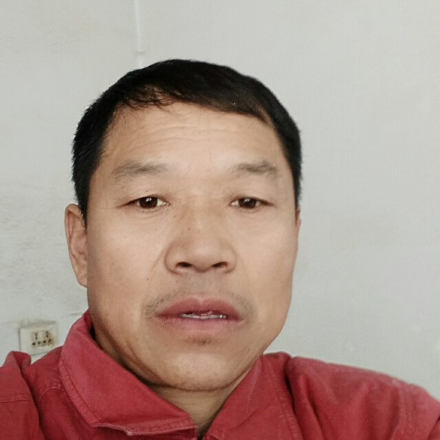 能干冰棍的照片