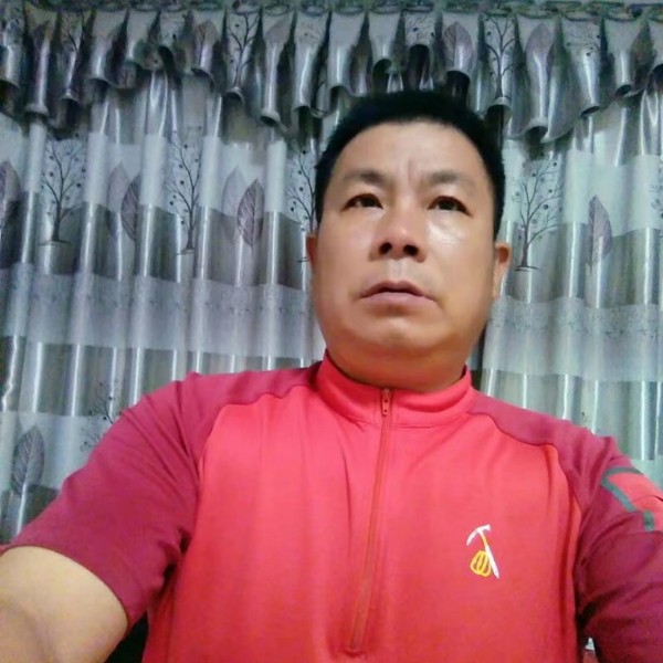 绝影能干的照片