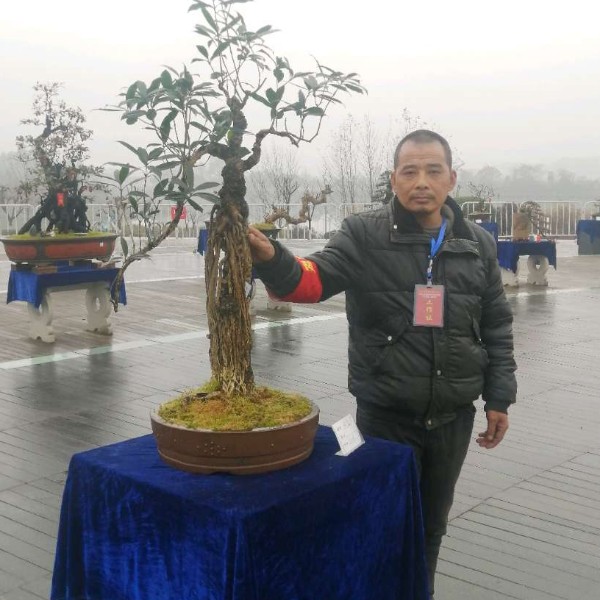 认真还萝莉的照片