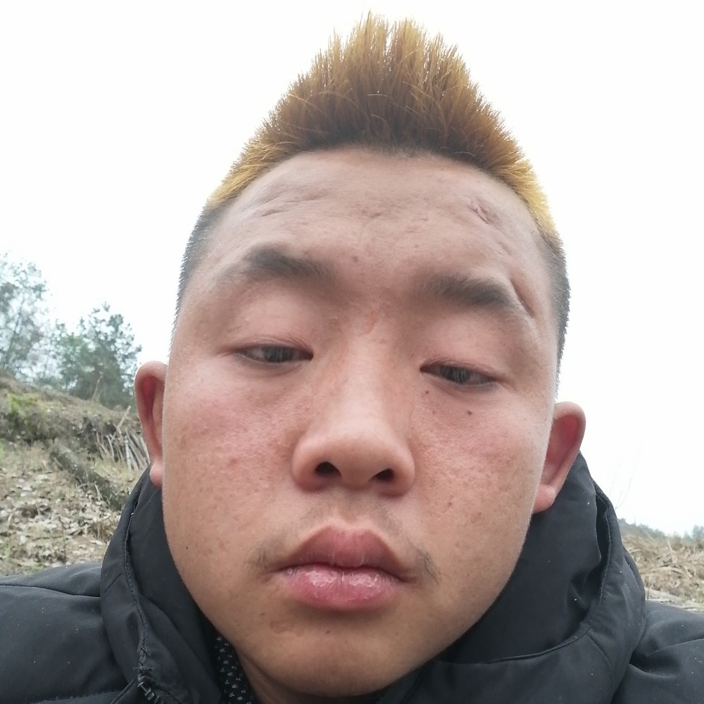 淡然多么鸵鸟的照片