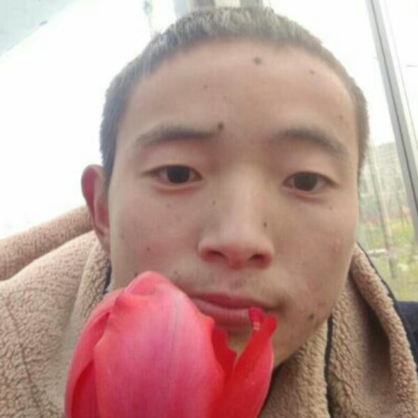 如意小熊猫的照片