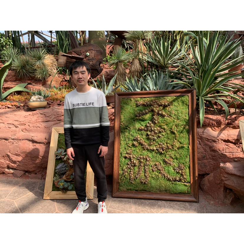 Leoccll的照片
