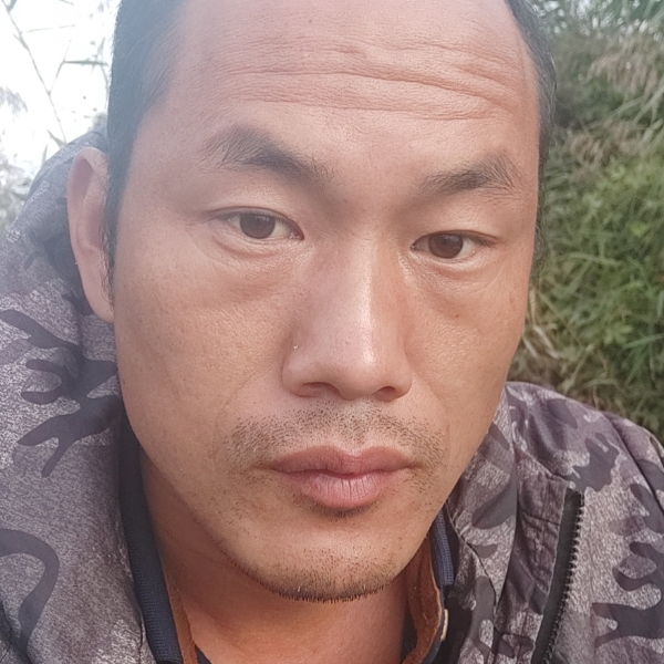 开宝马捡破烂的照片