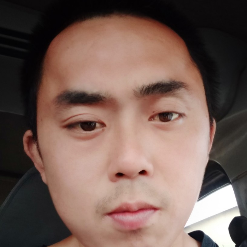 孤傲的羚羊的照片