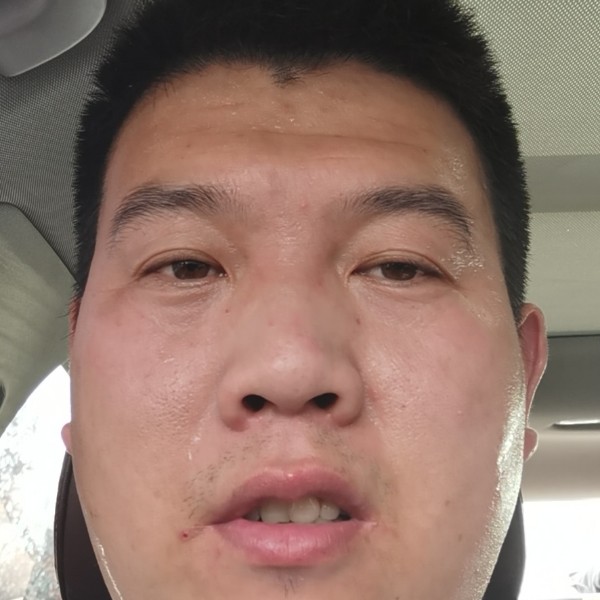 坑KK猫的照片