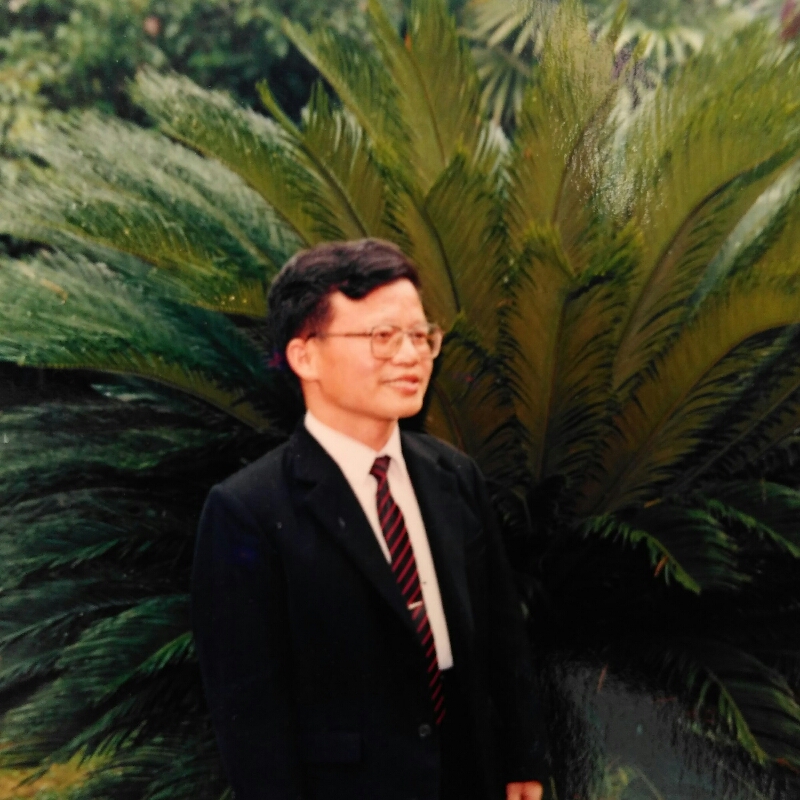 沿海的照片