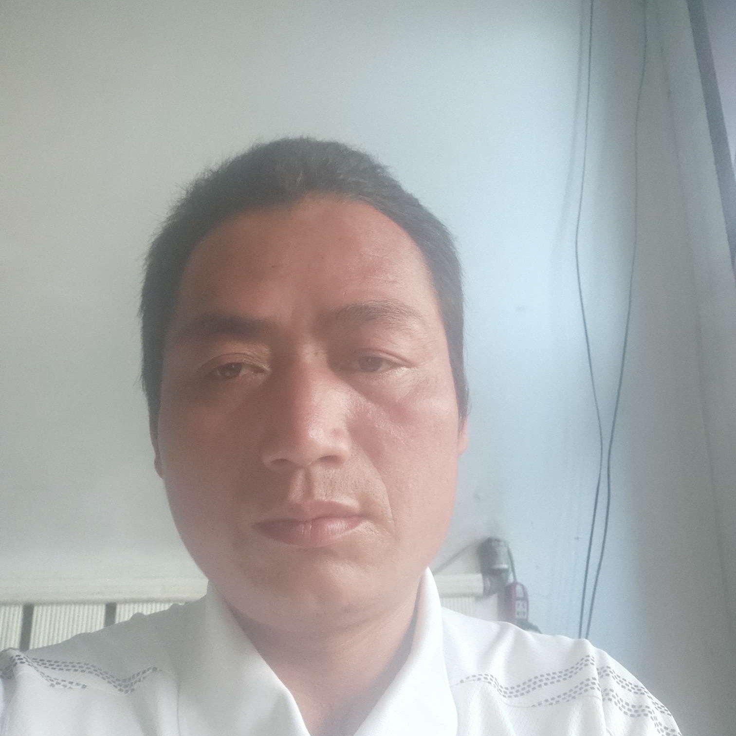 幸福笑纸鹤的照片
