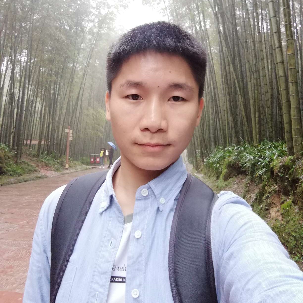听风来，等雨停的照片