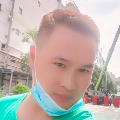 野生藤茶的照片