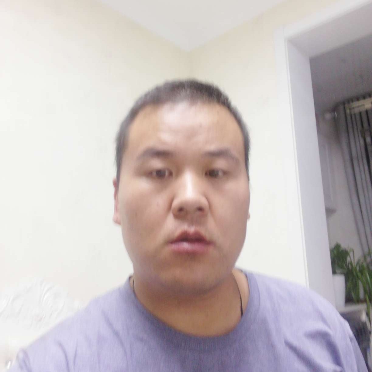 豌豆拾忆冷静的照片
