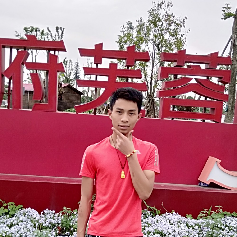 迷路蝶的照片