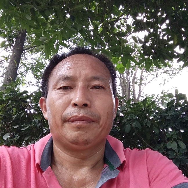 温婉金鱼的照片