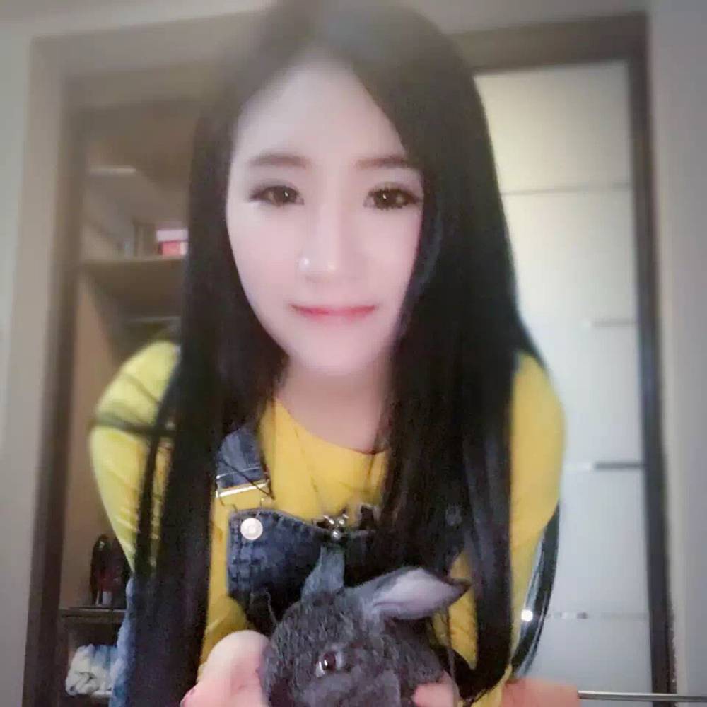 小虎呀的照片