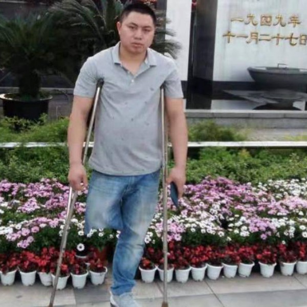 断翅的隼的照片