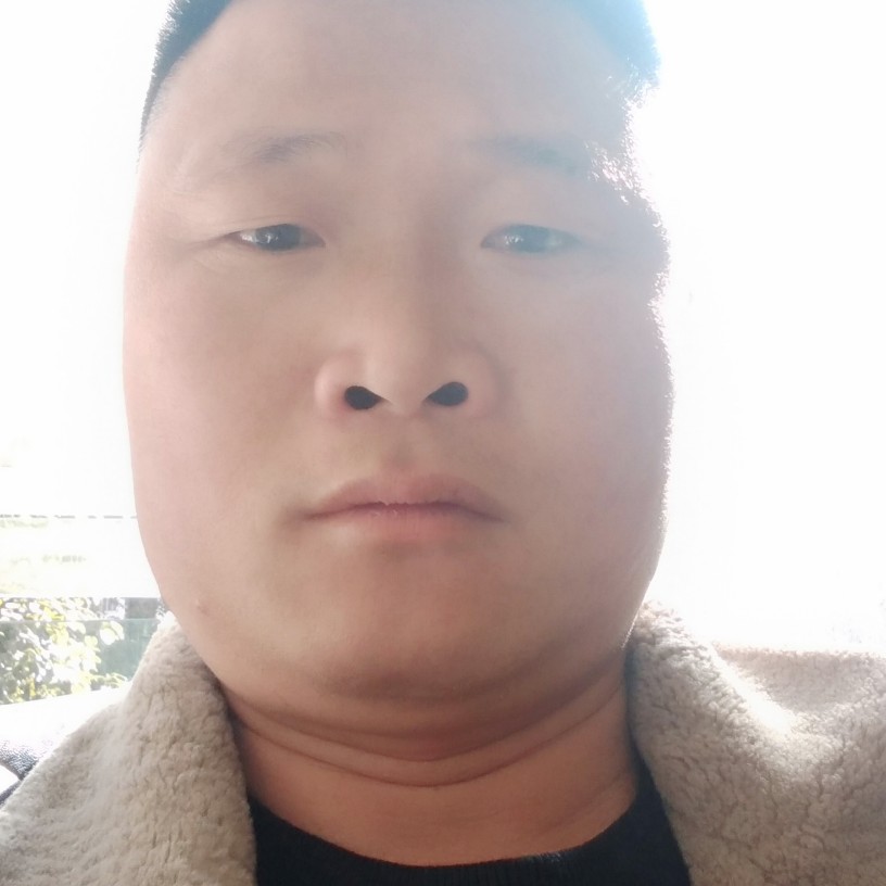 诺言等于迅速的照片