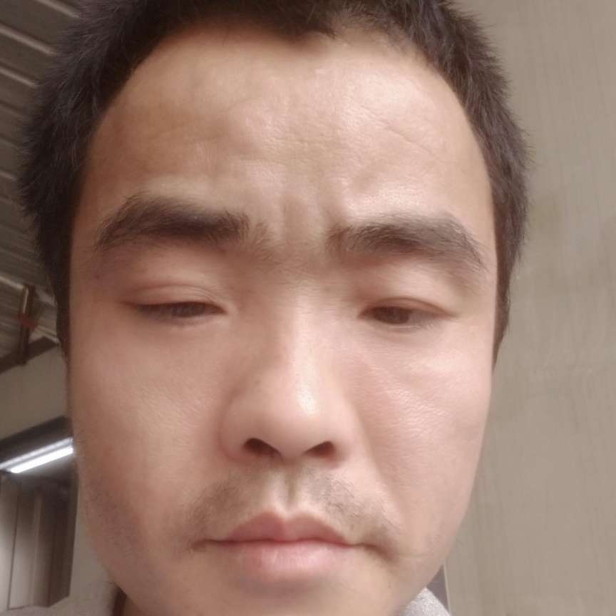 万有缘的照片
