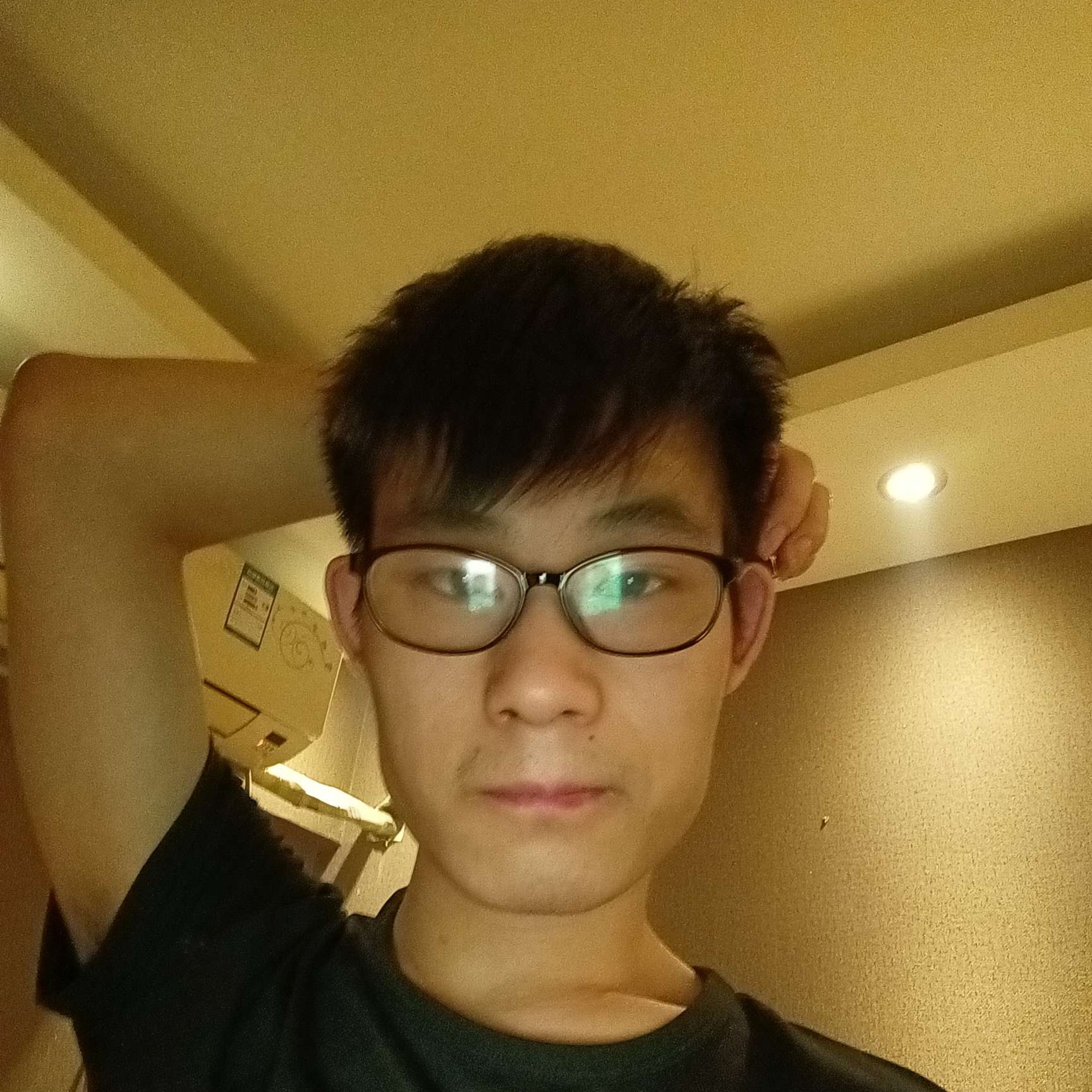 柠檬演变年轻的照片