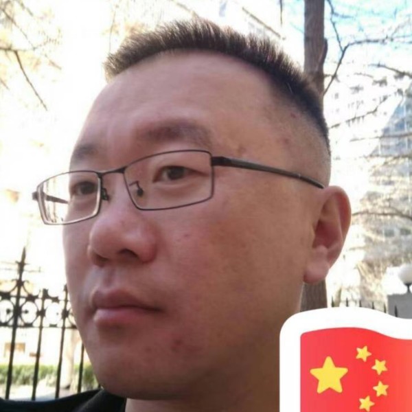 一座城一条狗的照片