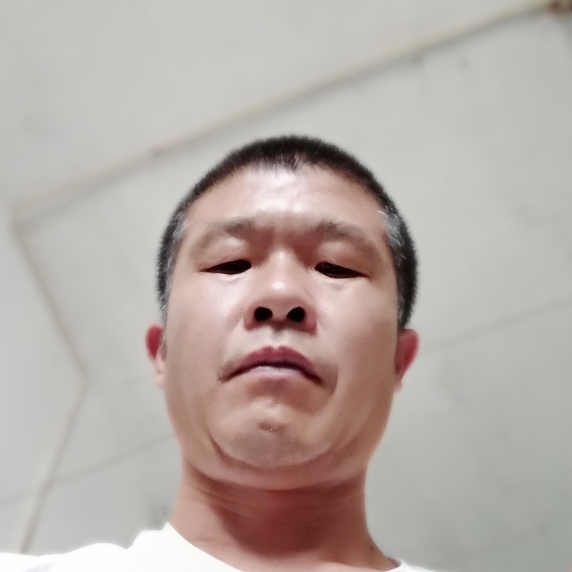 玫瑰壮观的照片