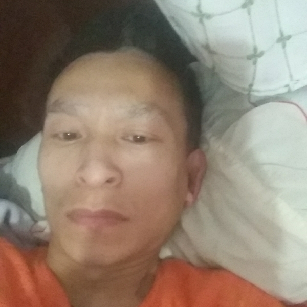 黄豆高兴的照片
