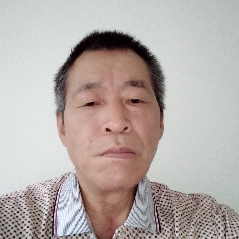山鸡的照片