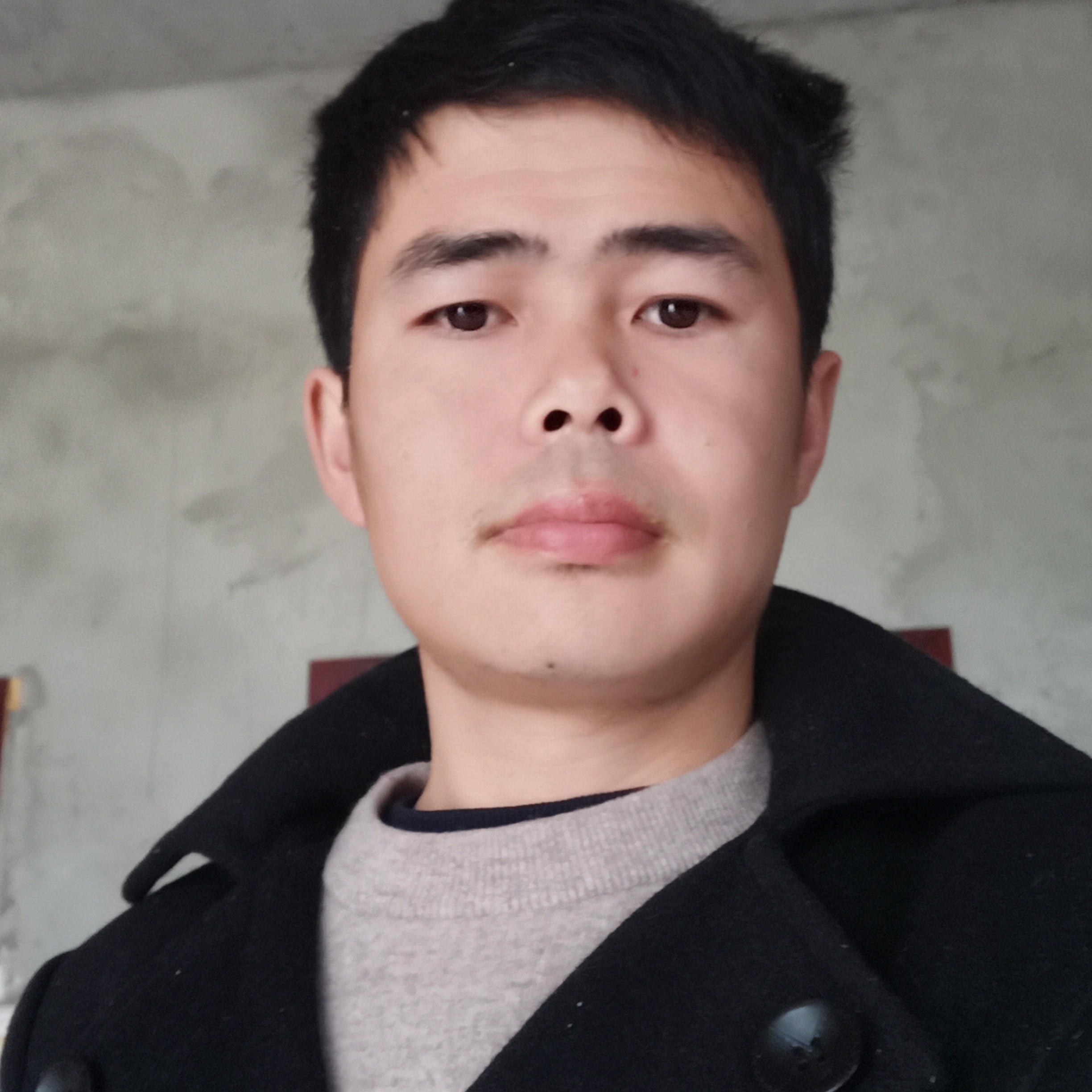至尊小宝的照片