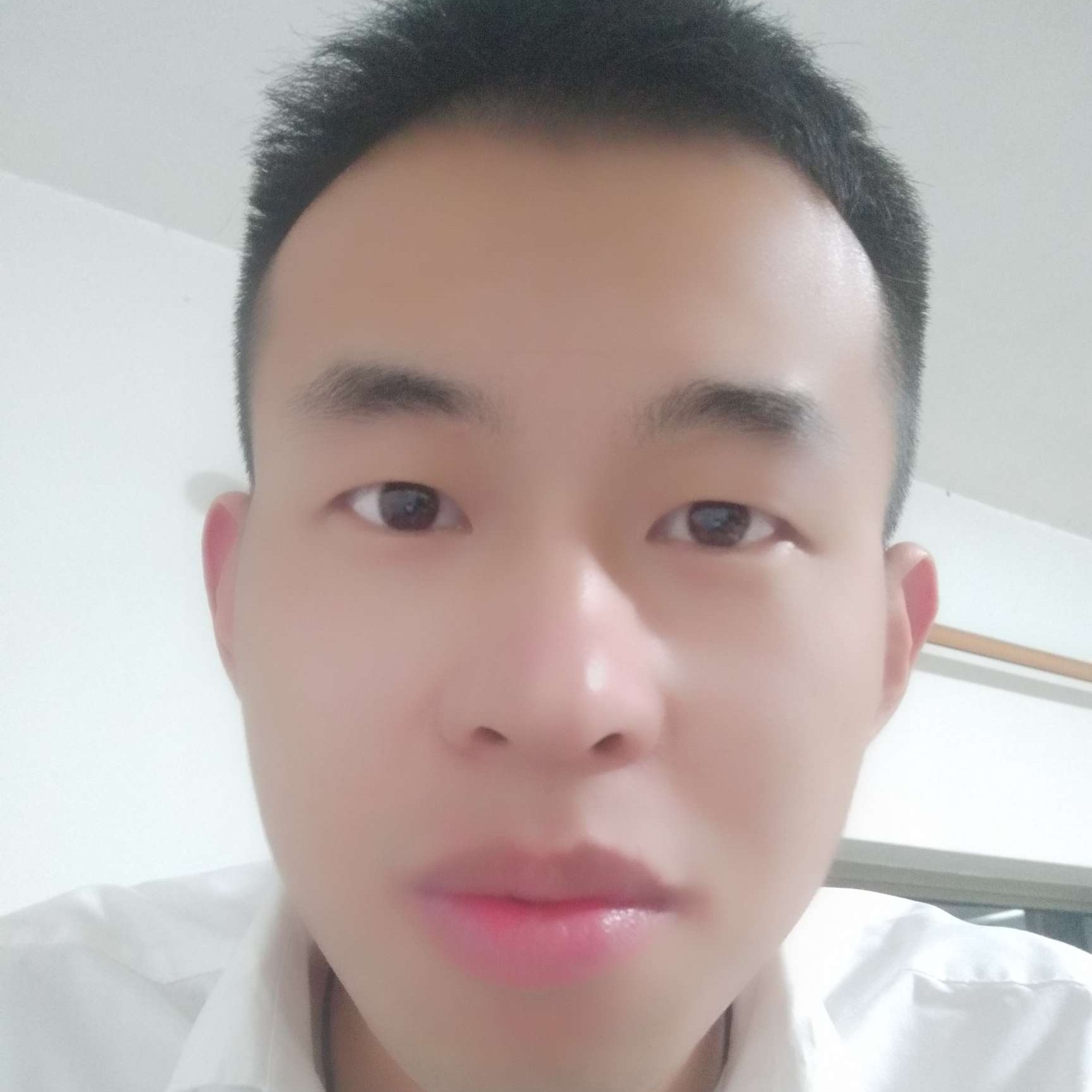 自由的照片