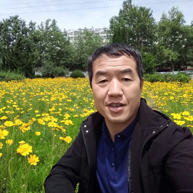 含羞草回首谦让的照片