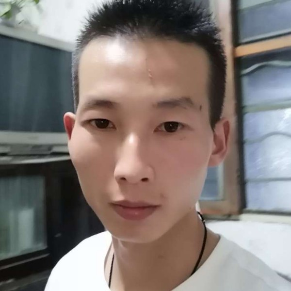 奇异果演变阳光的照片