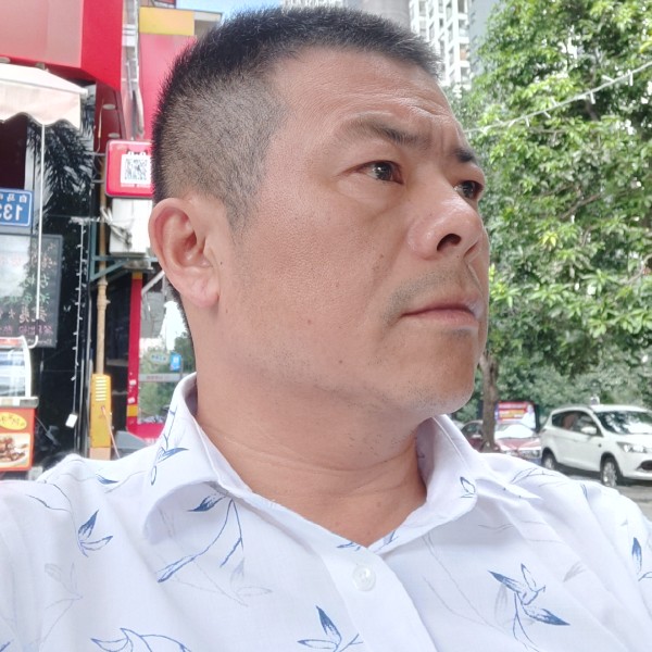 顺利战斗机的照片