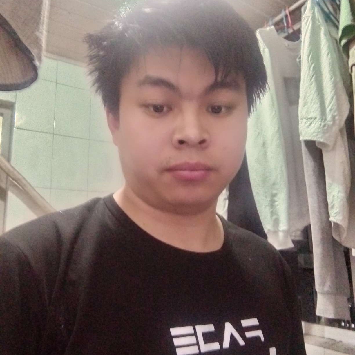 小白菜保卫义气的照片