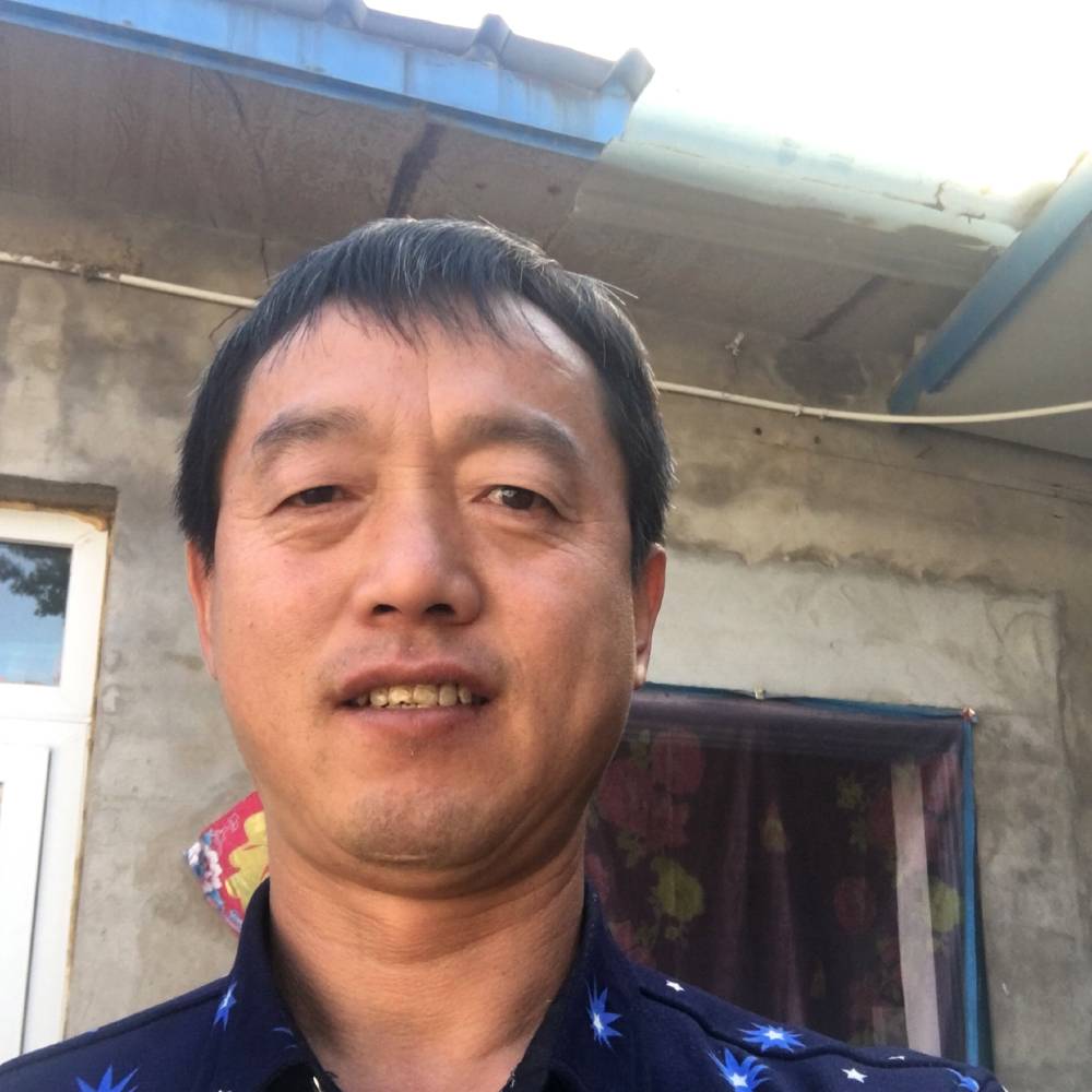 高尚锋利的照片
