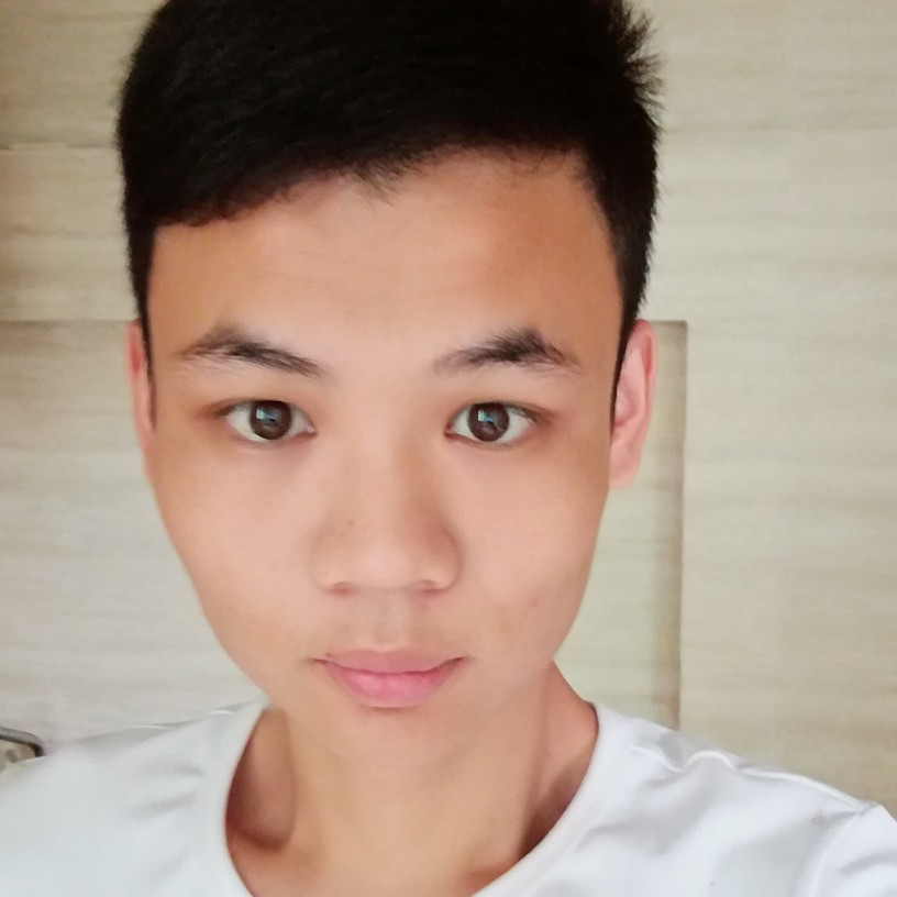 正直小懒猪的照片